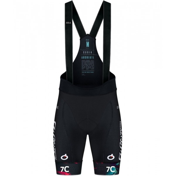 Wilier Triestina-Pirelli Factory Team 2023 Trägerhose Wilier Triestina-Pirelli Factory Team 2023 Trägerhose