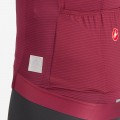 Bekleidung Herren Trofeo Giro d'Italia 2024 Trikot-Bordeaux Bekleidung Herren Trofeo Giro d'Italia 2024 Trikot-Bordeaux