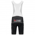 Bekleidung Herren Team Visma Lease a bike 2025 The Swarm tragerhose-Tdf Bekleidung Herren Team Visma Lease a bike 2025 The Swarm tragerhose-Tdf