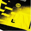 Bekleidung Herren Team Visma Lease a bike 2025 The Wingbeat trikot-Wout Van Aert Bekleidung Herren Team Visma Lease a bike 2025 The Wingbeat trikot-Wout Van Aert